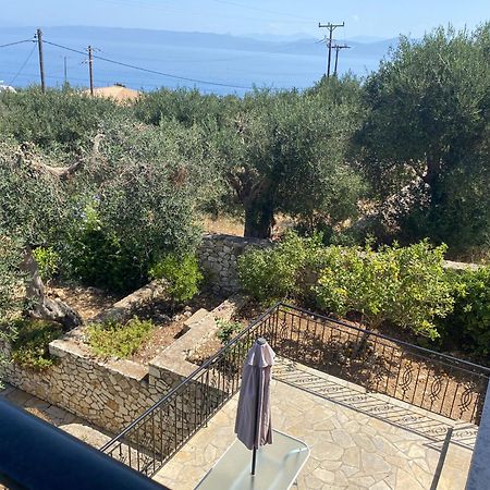 Villa Danae Gaios Extérieur photo